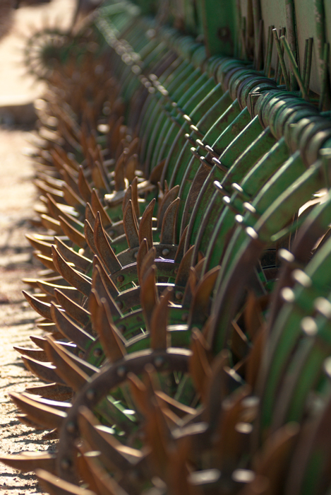 Brighton Market Day JPEGs Web-44